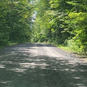 Meet your Posher, Carolyn